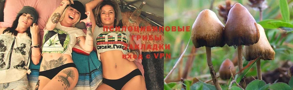спайс Алексеевка